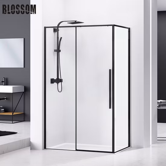 Cabine de douche à porte pivotante rectangulaire en verre pour salle de bains, cadre noir